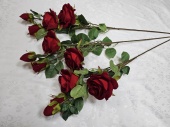 О3912 Ветка розы Королева барх.2гол.+2бут Н-70см (50шт) 400 от интернет-магазин Эдельвейс-Ритуал.RU