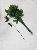 37 Нога розы с 2-мя листами Н-61см (20шт) от интернет-магазин Эдельвейс-Ритуал.RU
